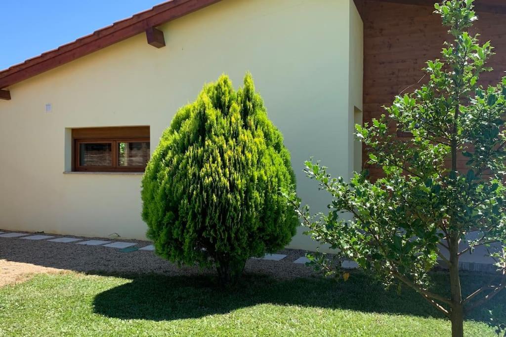 فيلا Quinta Pedro E Ines براغانسا المظهر الخارجي الصورة