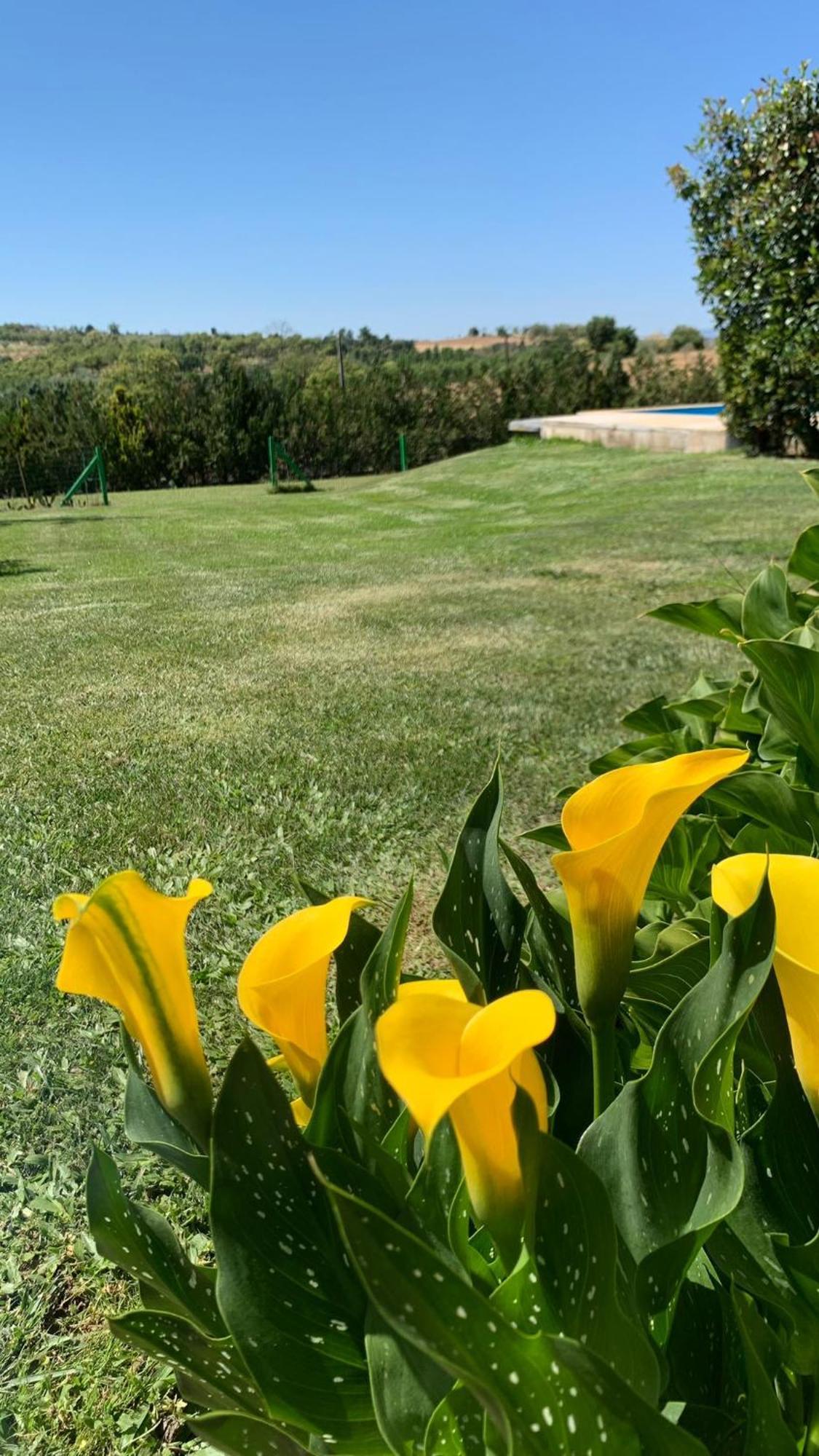 فيلا Quinta Pedro E Ines براغانسا المظهر الخارجي الصورة
