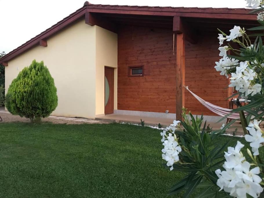 فيلا Quinta Pedro E Ines براغانسا المظهر الخارجي الصورة
